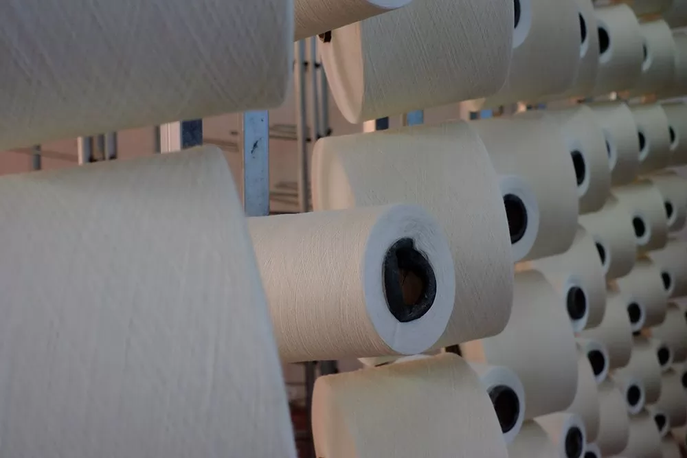 Knitting & Fabric Production